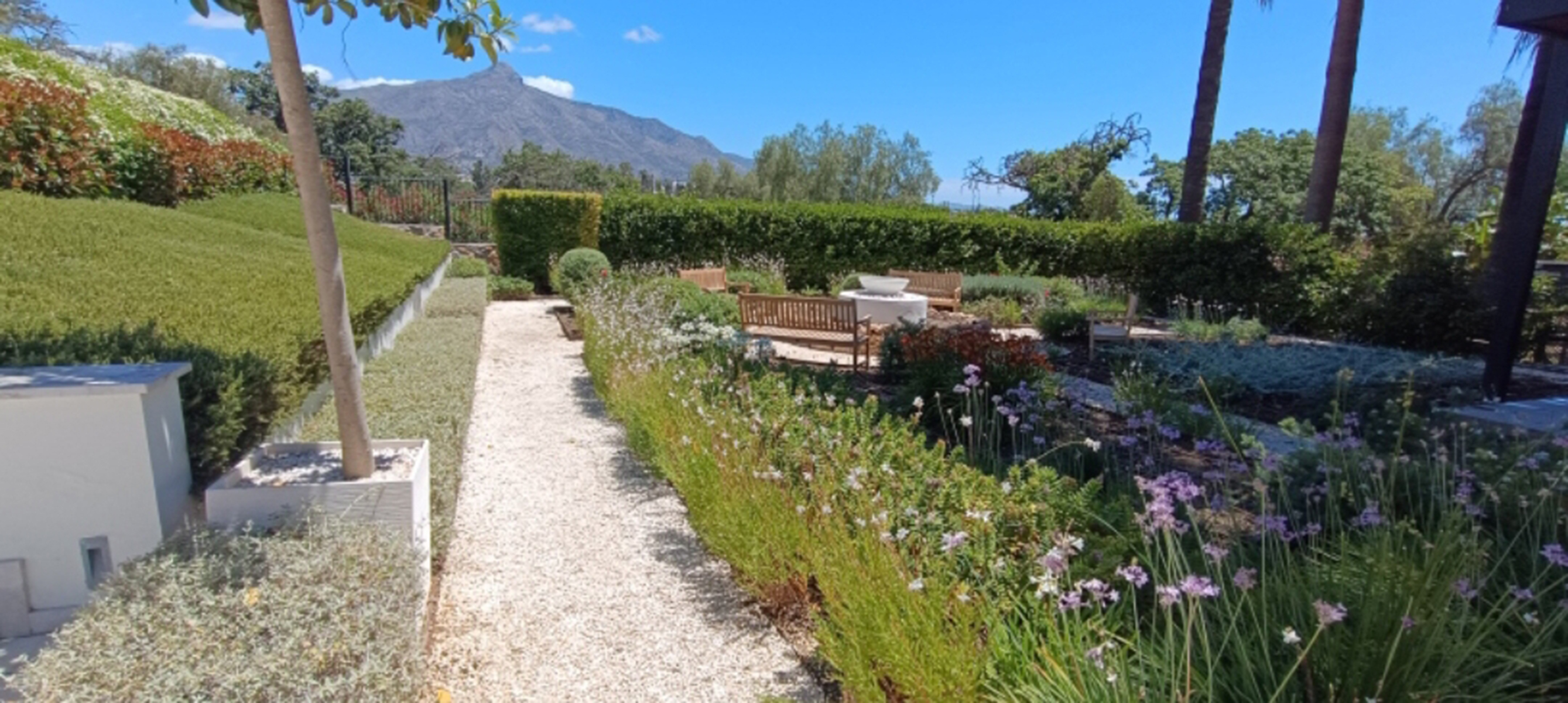 Diseño y mantenimiento de jardines en Málaga