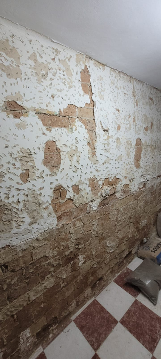 imagen galería
