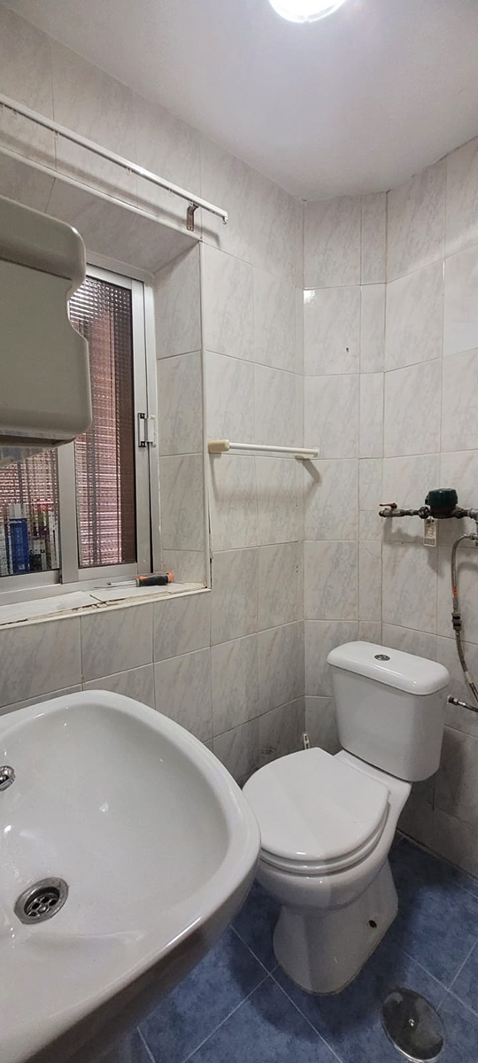 imagen galería