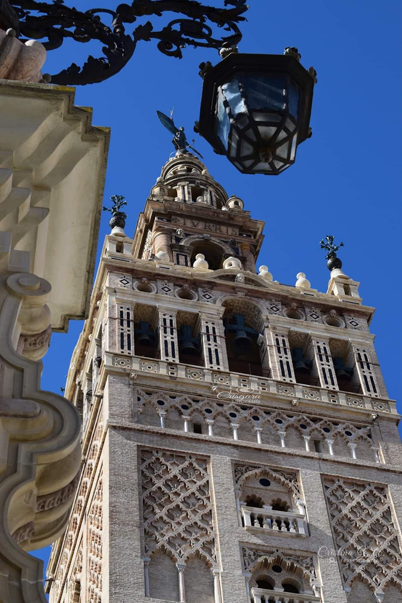 Guía turística en Sevilla