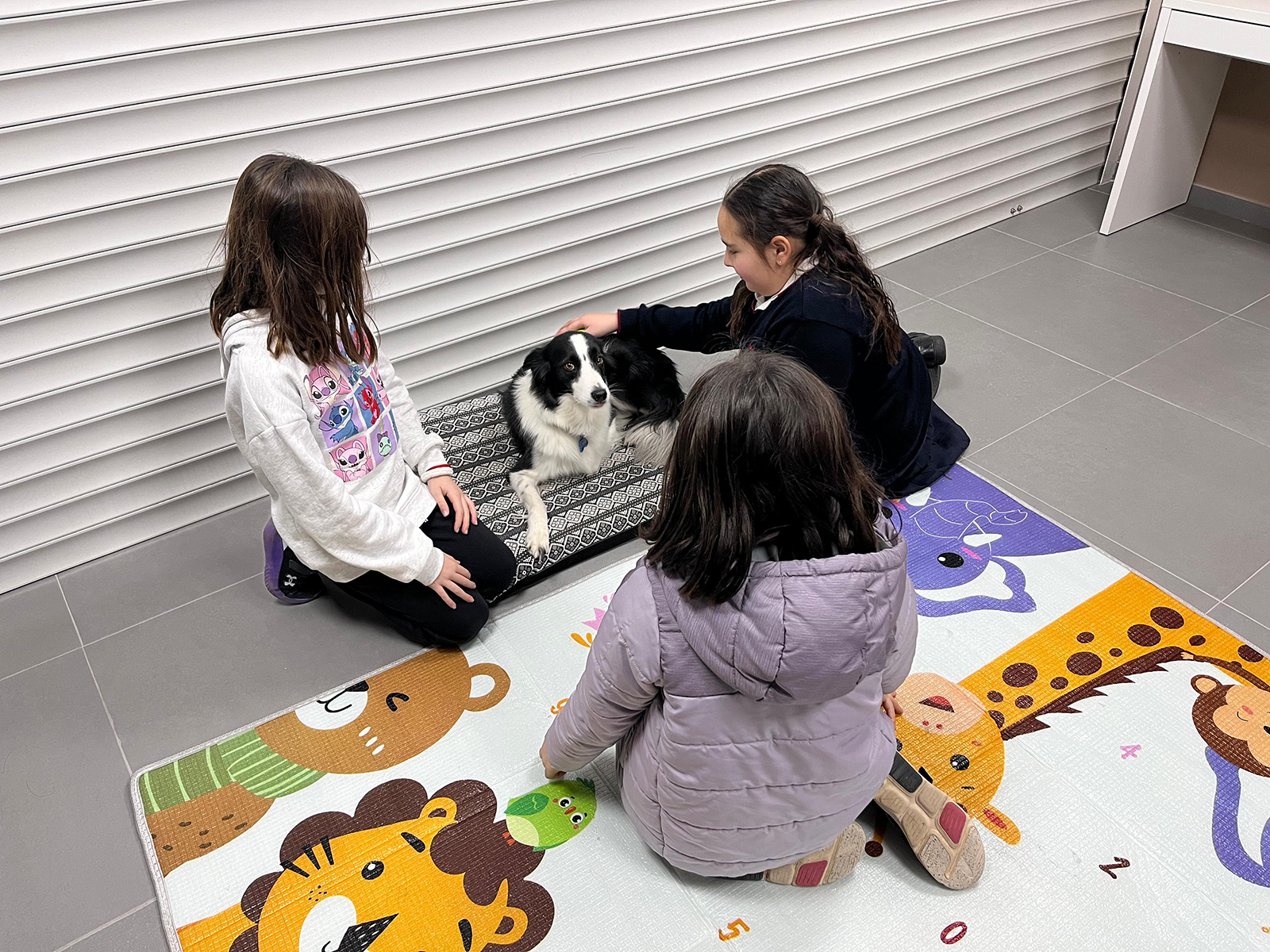 Terapia Grupal con Blanket en Girona