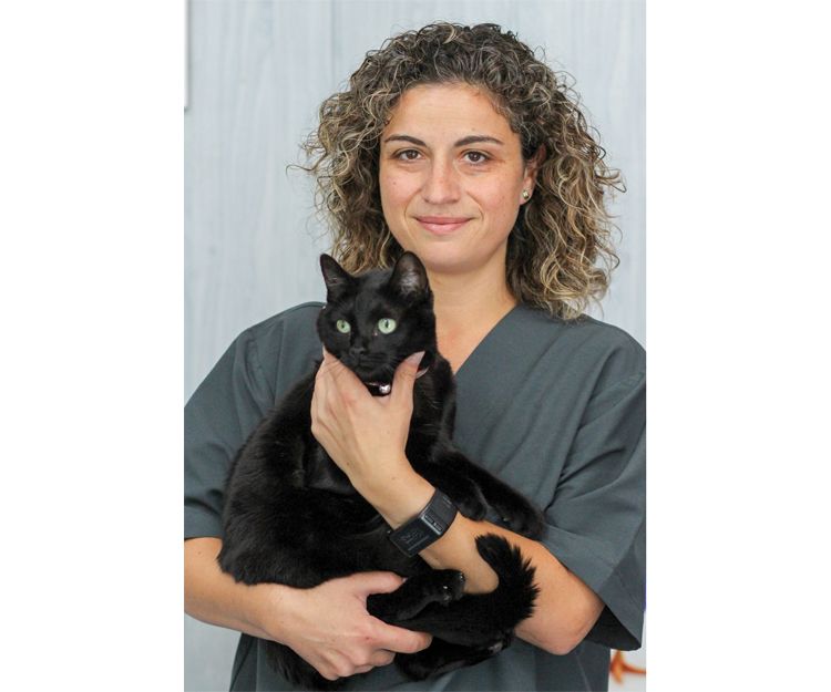 Cirugía veterinaria en Alcorcón