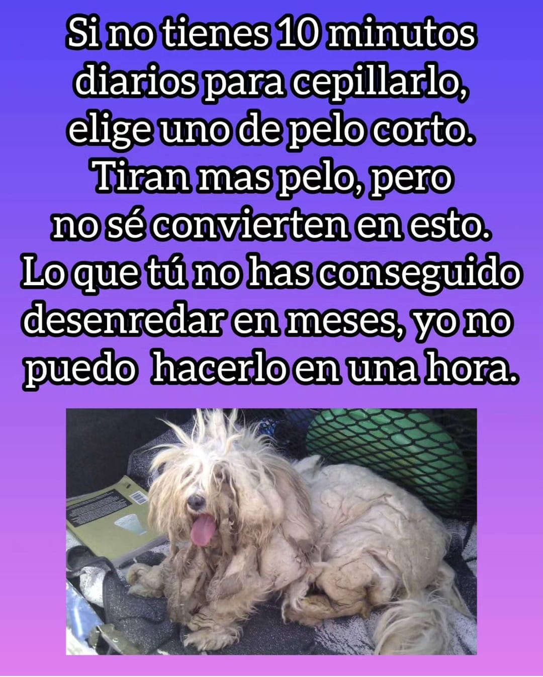 corte de pelo