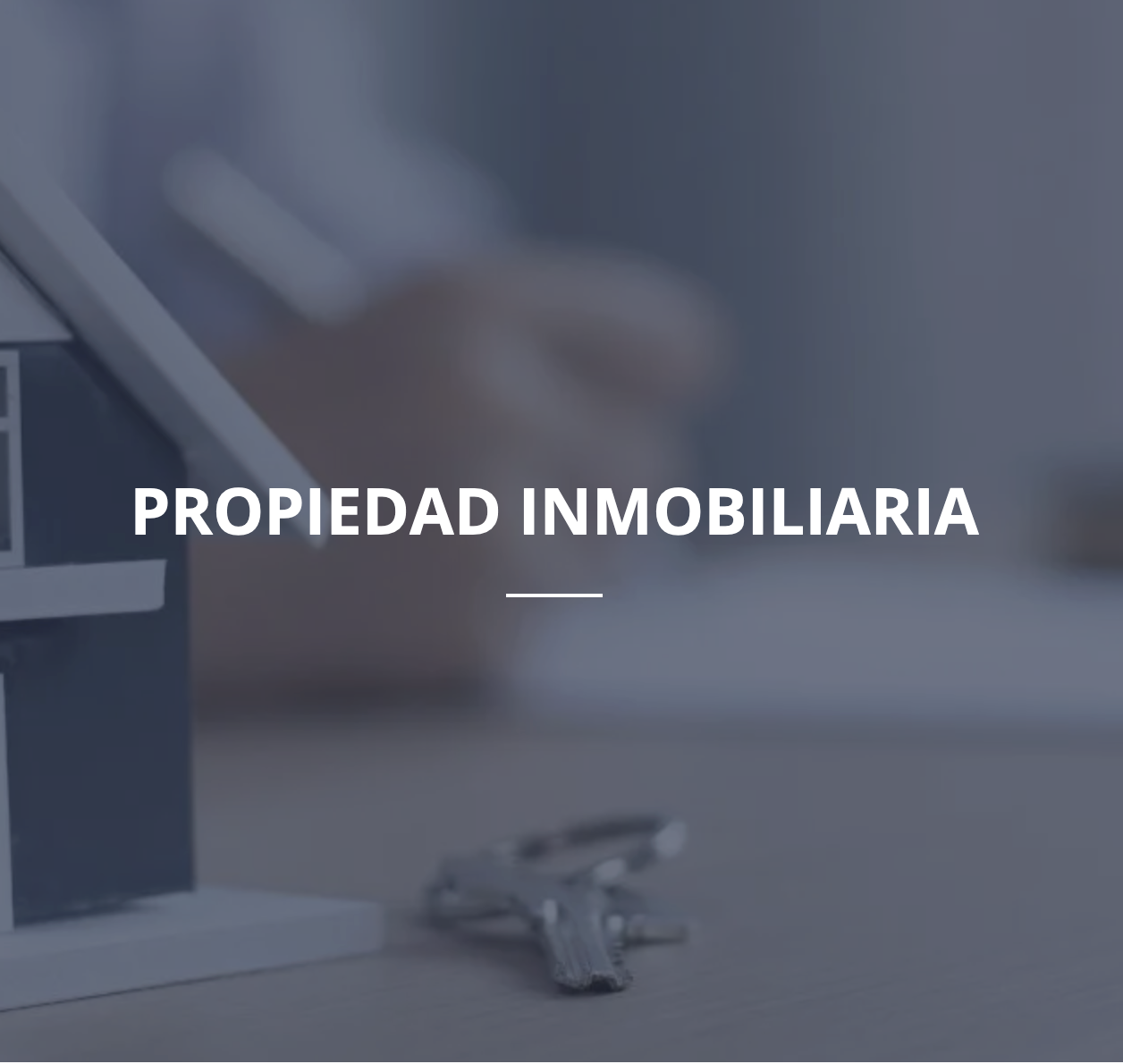 Propiedad Inmobiliaria