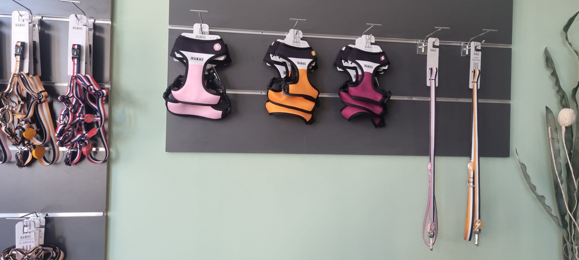 Equipa a tu mascota con lo mejor del mercado