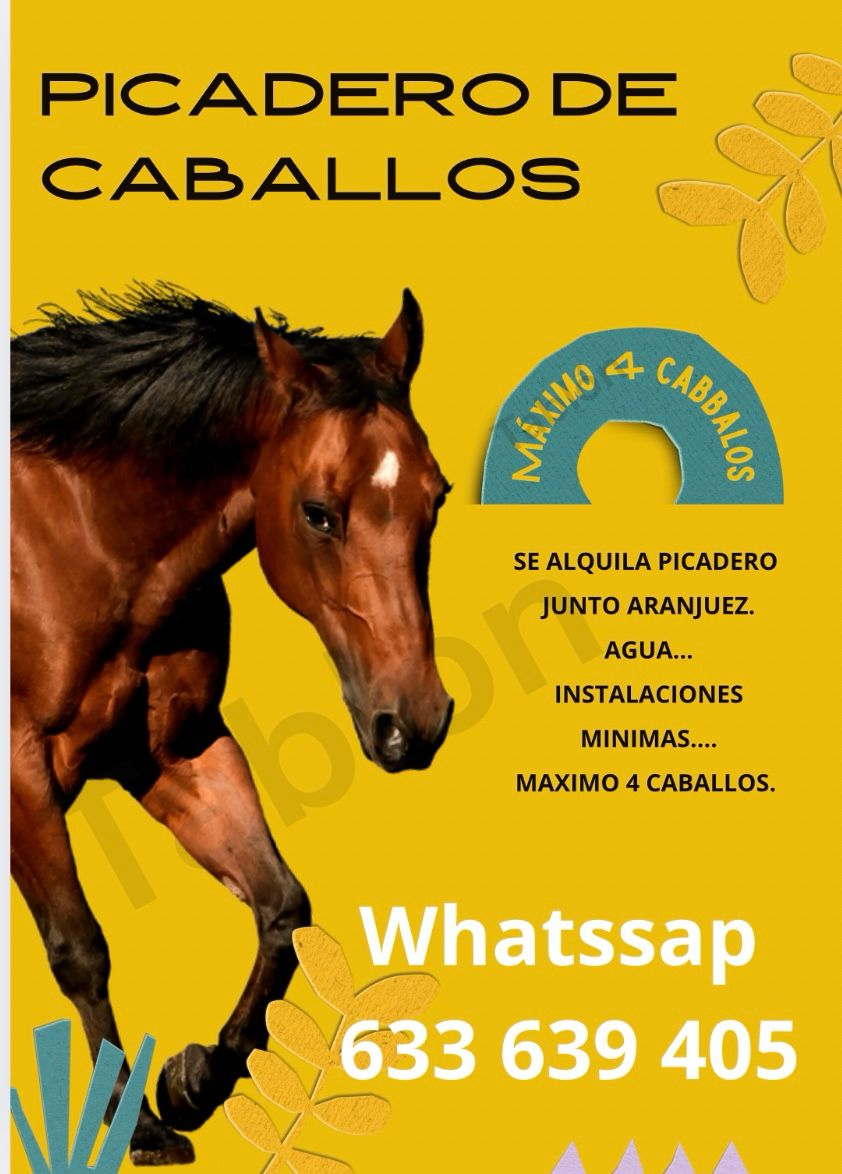 PICADERO DE CABALLOS