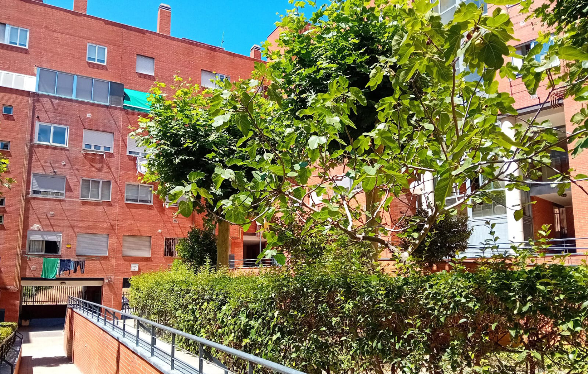 Mantenimiento de comunidades, naves y colegios