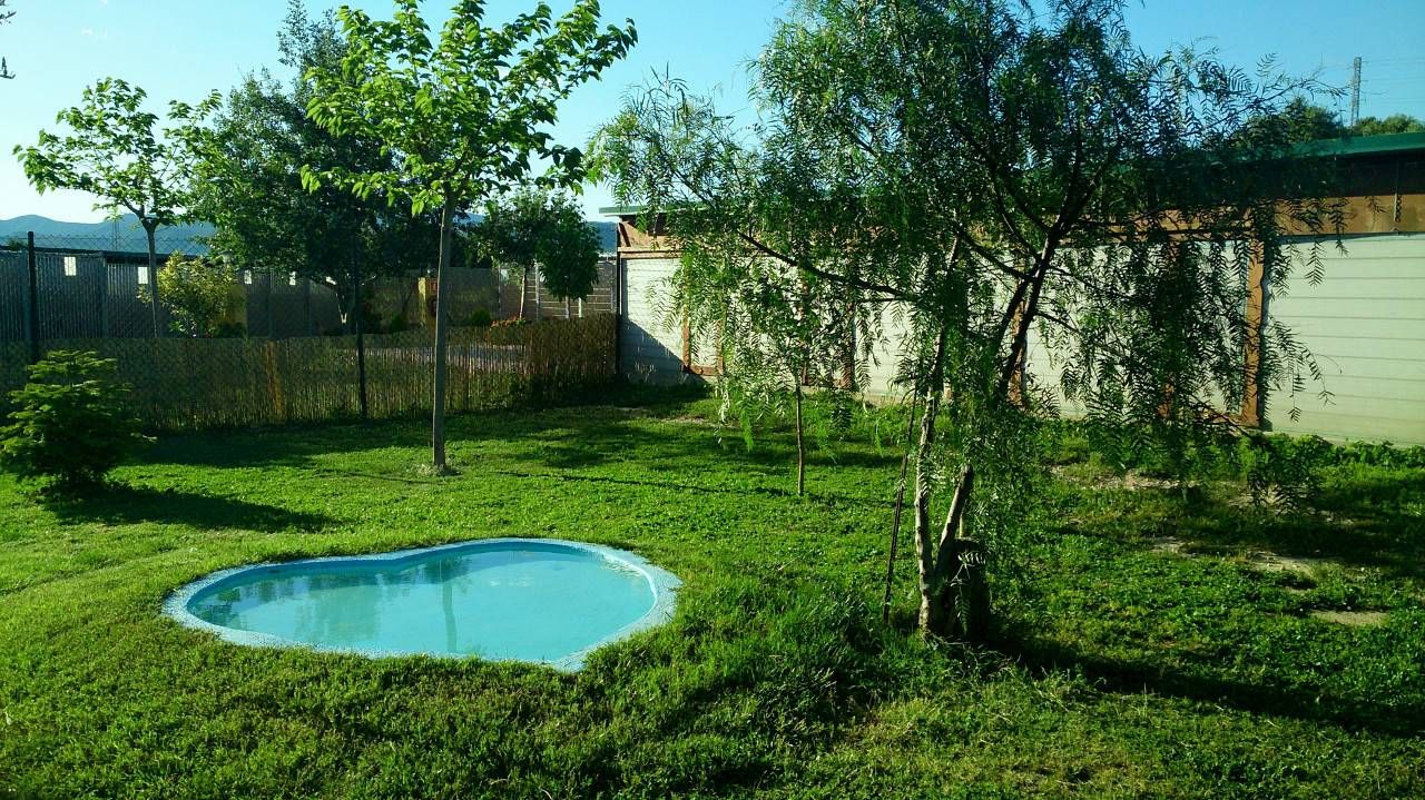 Instalaciones con piscina para perros