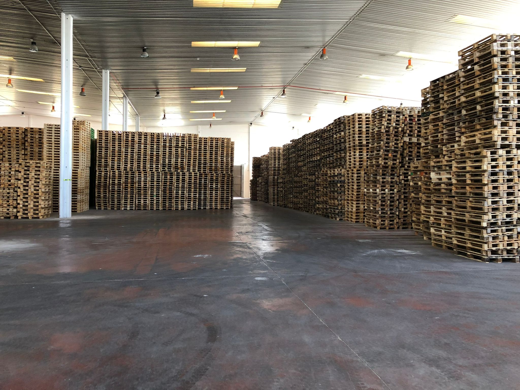 Compra venta de palets usados de madera