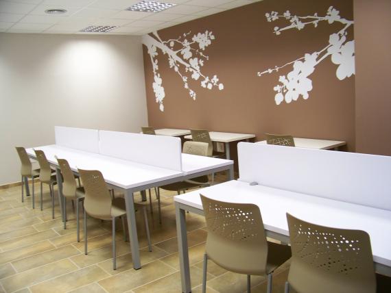 Zona de Estudio