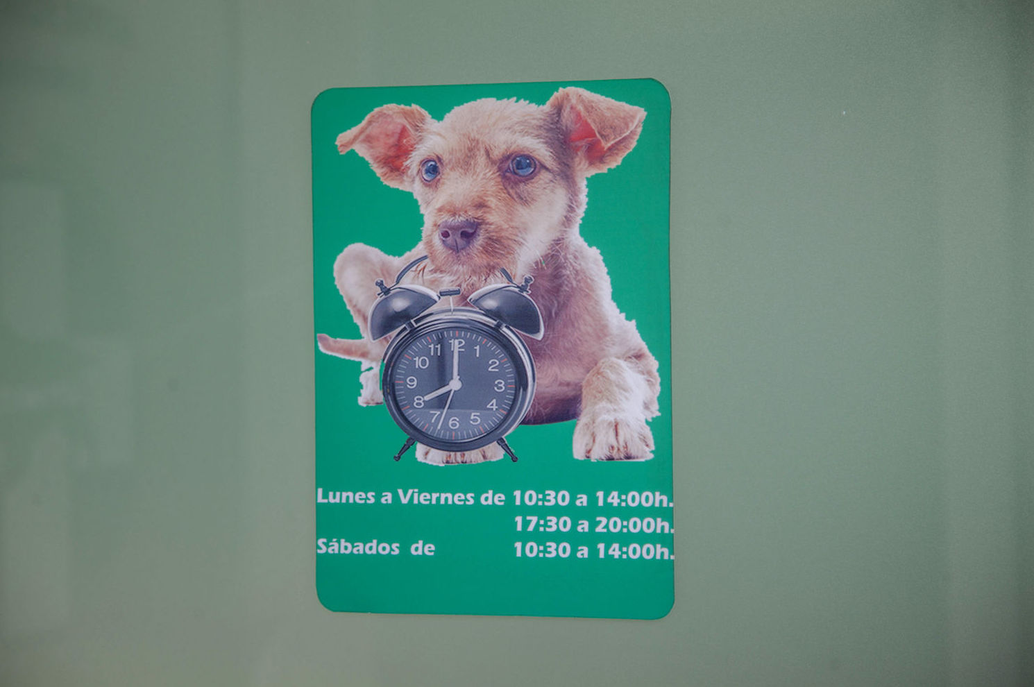 Horario de atención veterinaria