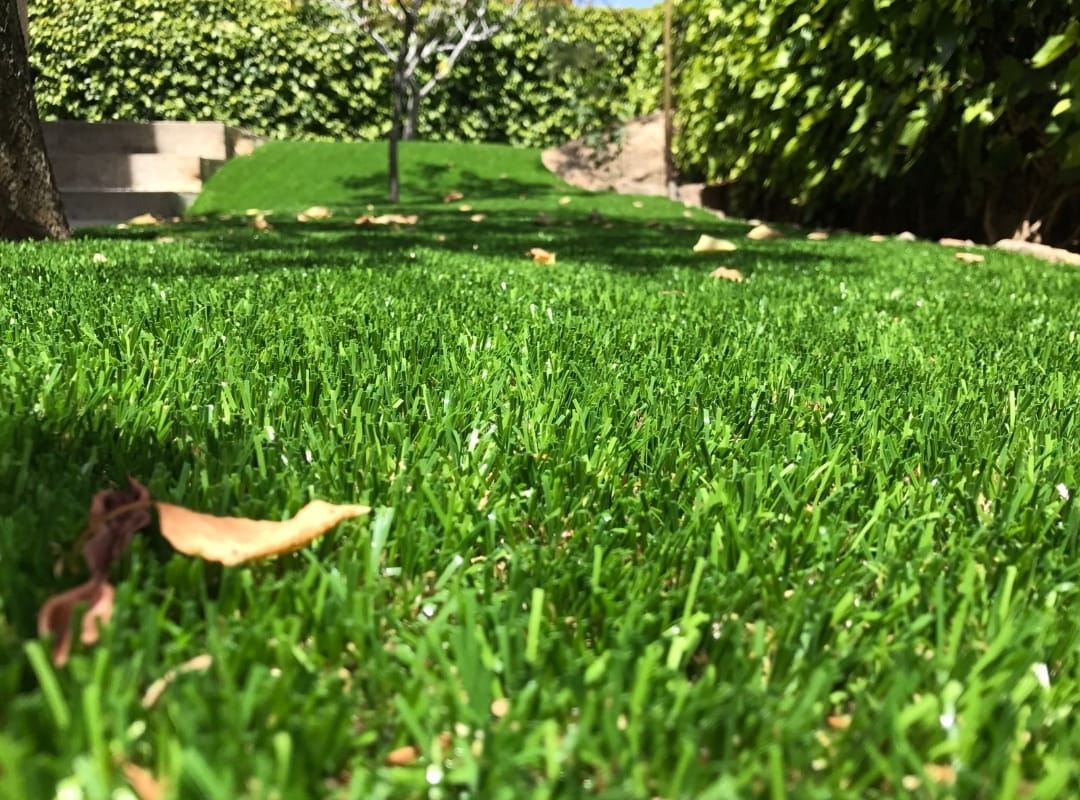 Mantenimiento de jardines y piscinas en Valencia