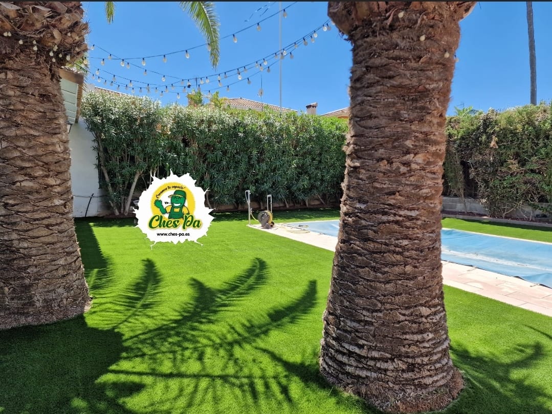 Mantenimiento de jardines y piscinas en Valencia