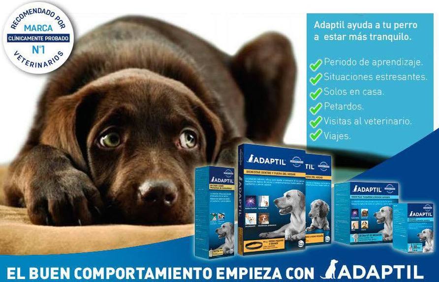 Adaptil ayuda a tu perro a estar más tranquilo