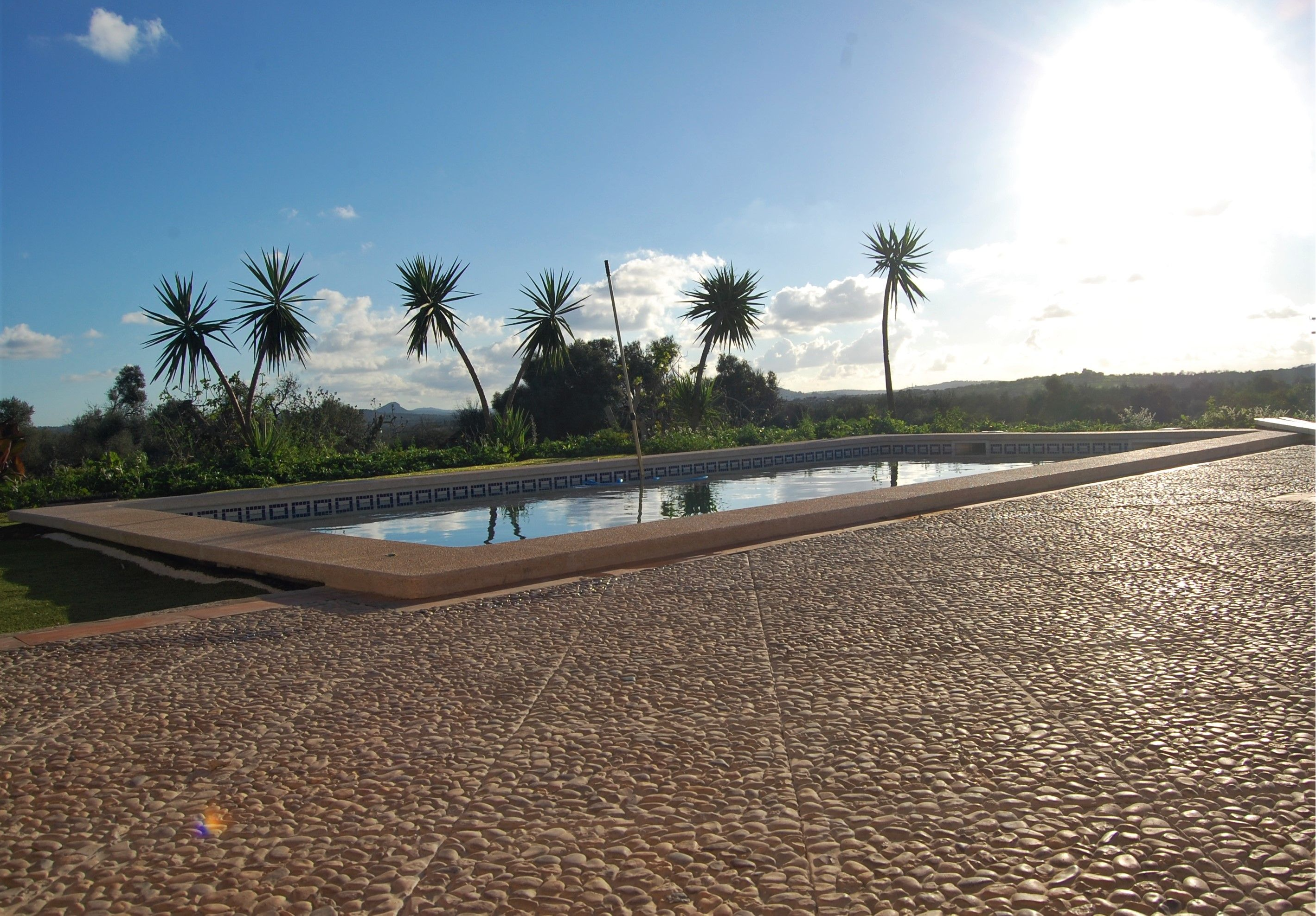 Pebbled and Terrazzo Tiles