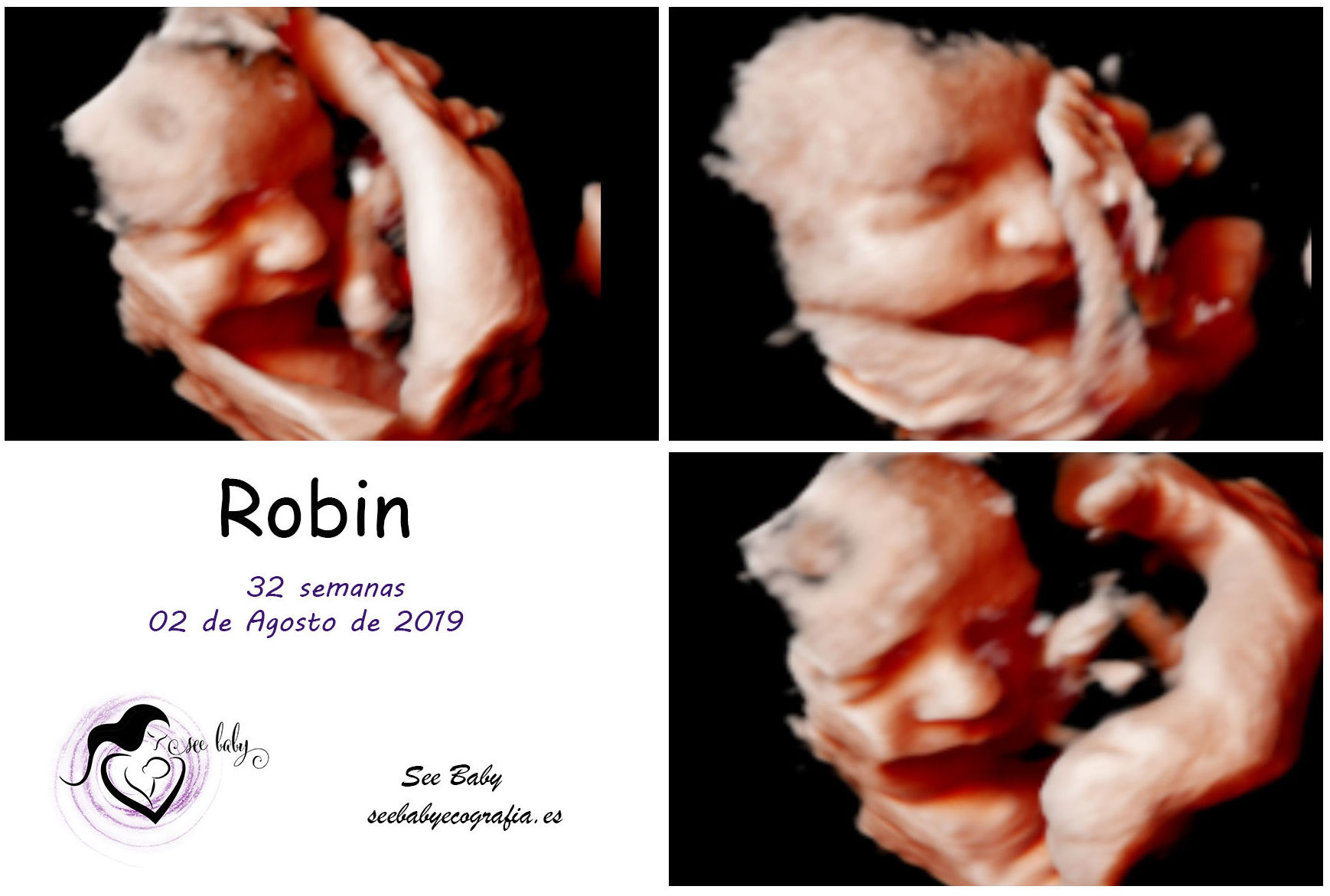 Bienvenido Robin