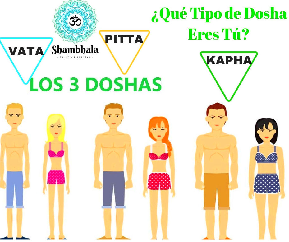 ¿Cuál es tu Dosha Predominante? - Tipo KAPHA- Los 3 Doshas - Ayurveda