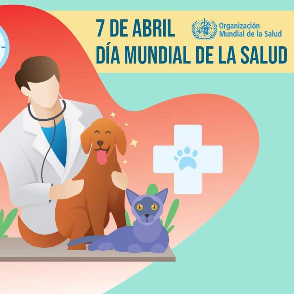 Día de la Salud