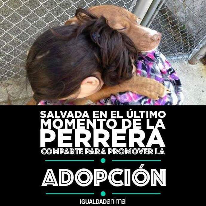 No compres, ADOPTA!!