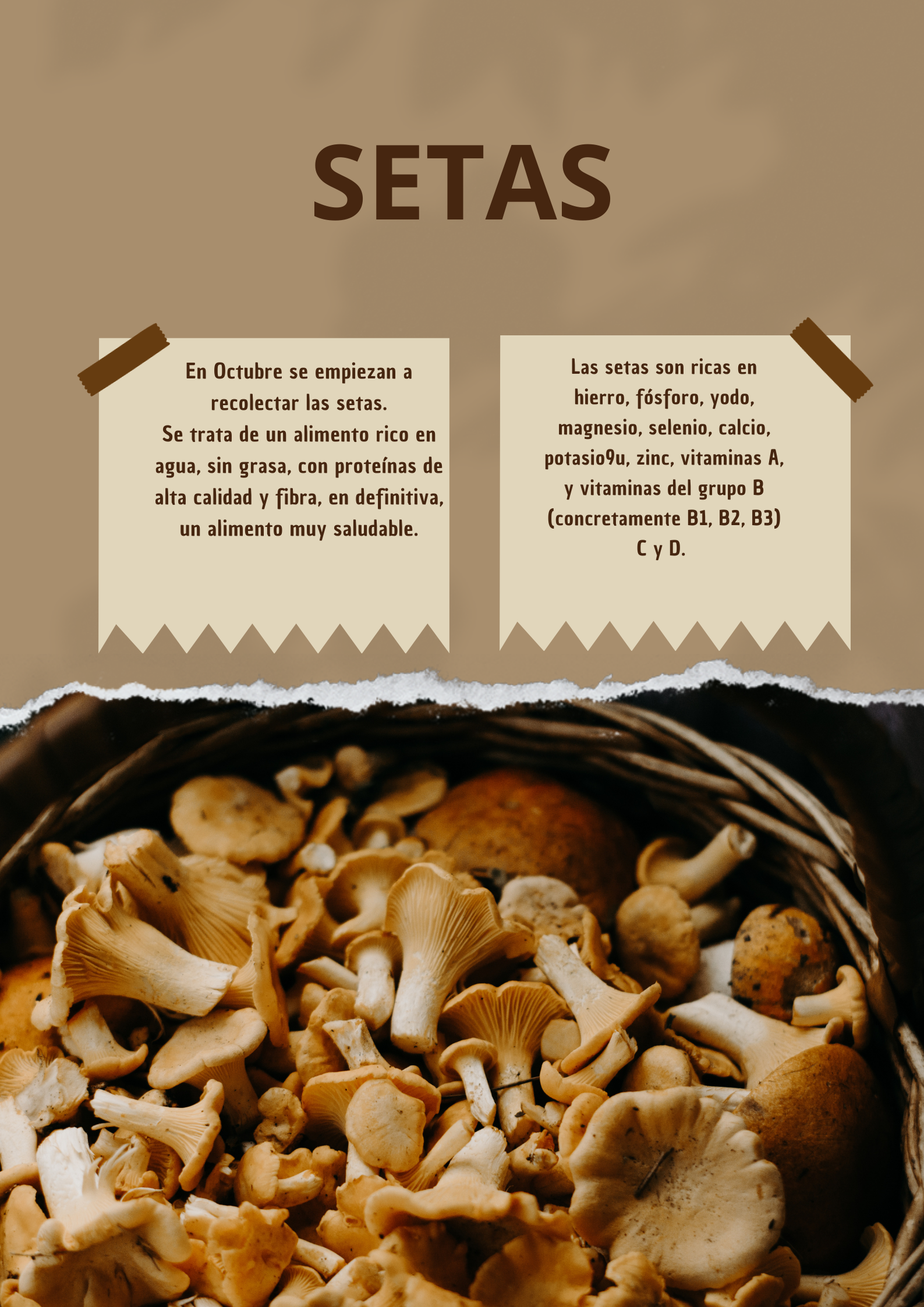 Receta hamburguesa de setas