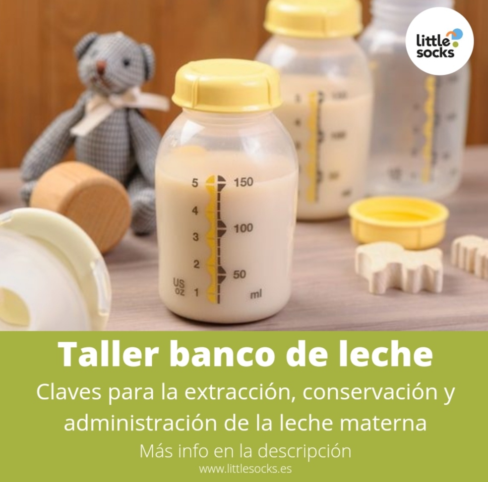 Taller Banco de Leche