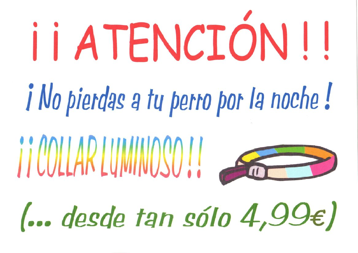 Oferta collar luminoso