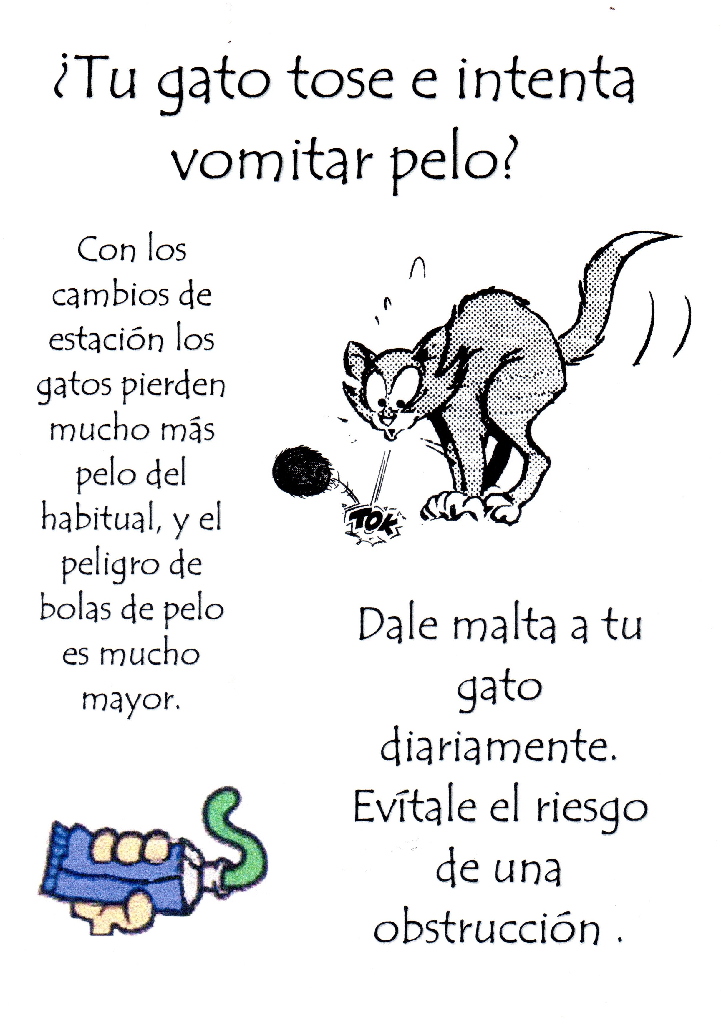 ¿Tu gato tose e intenta vomitar pelo?