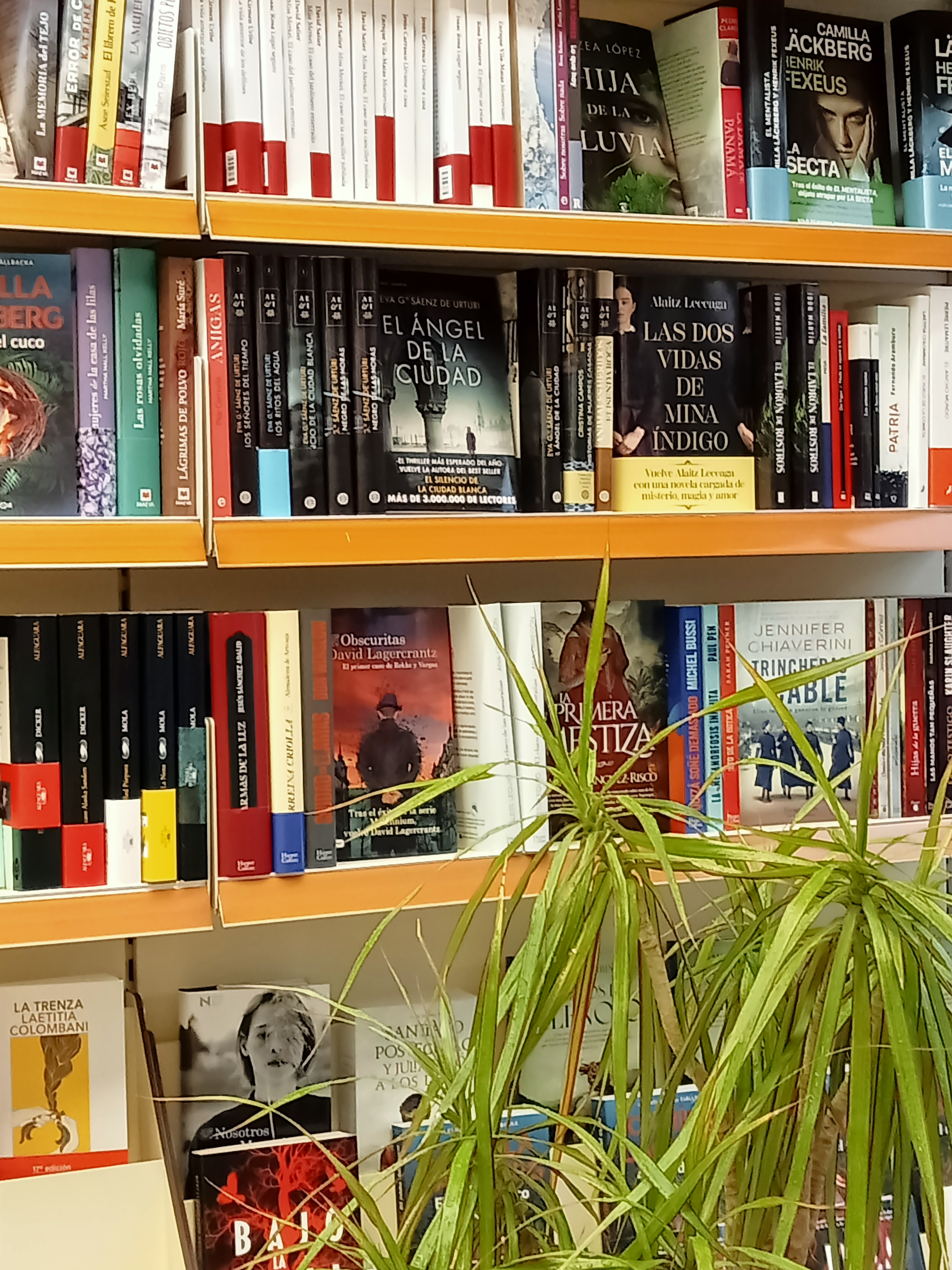 Librería en SGEL EN DEUSTO (Escuela de idiomas)