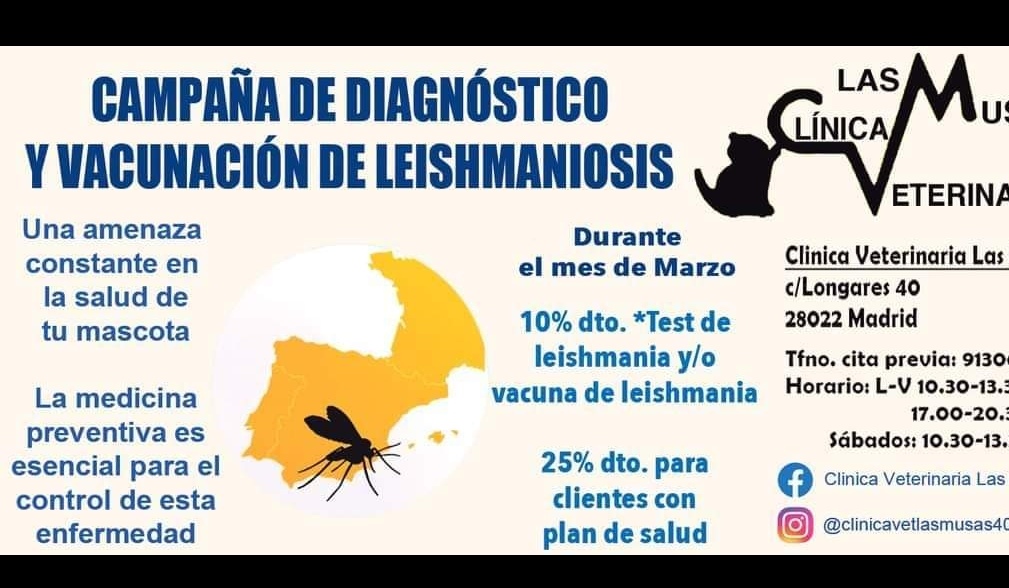 Campaña de prevención de leishmaniosis canina