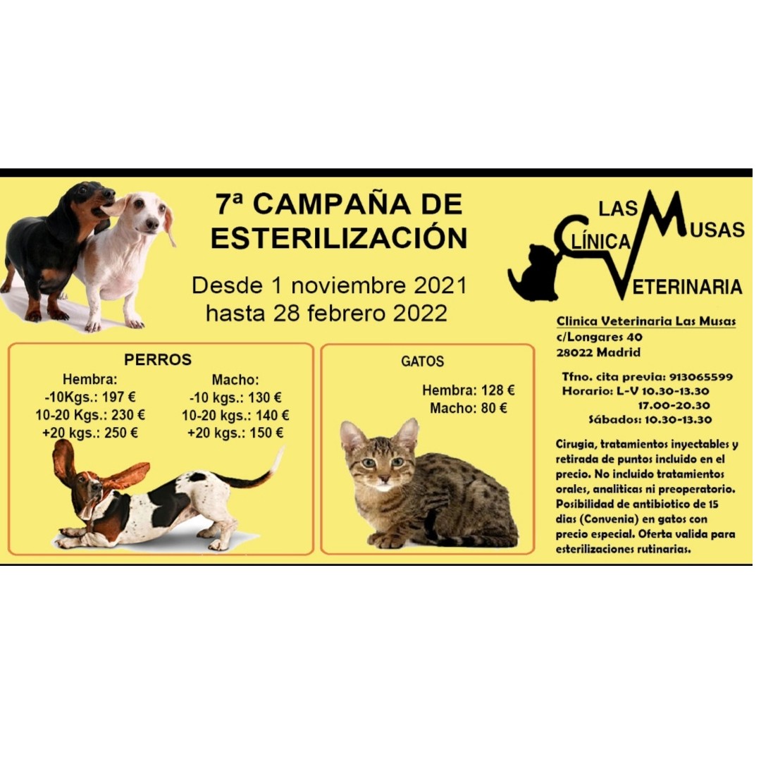 Campaña esterilización 2021-2022