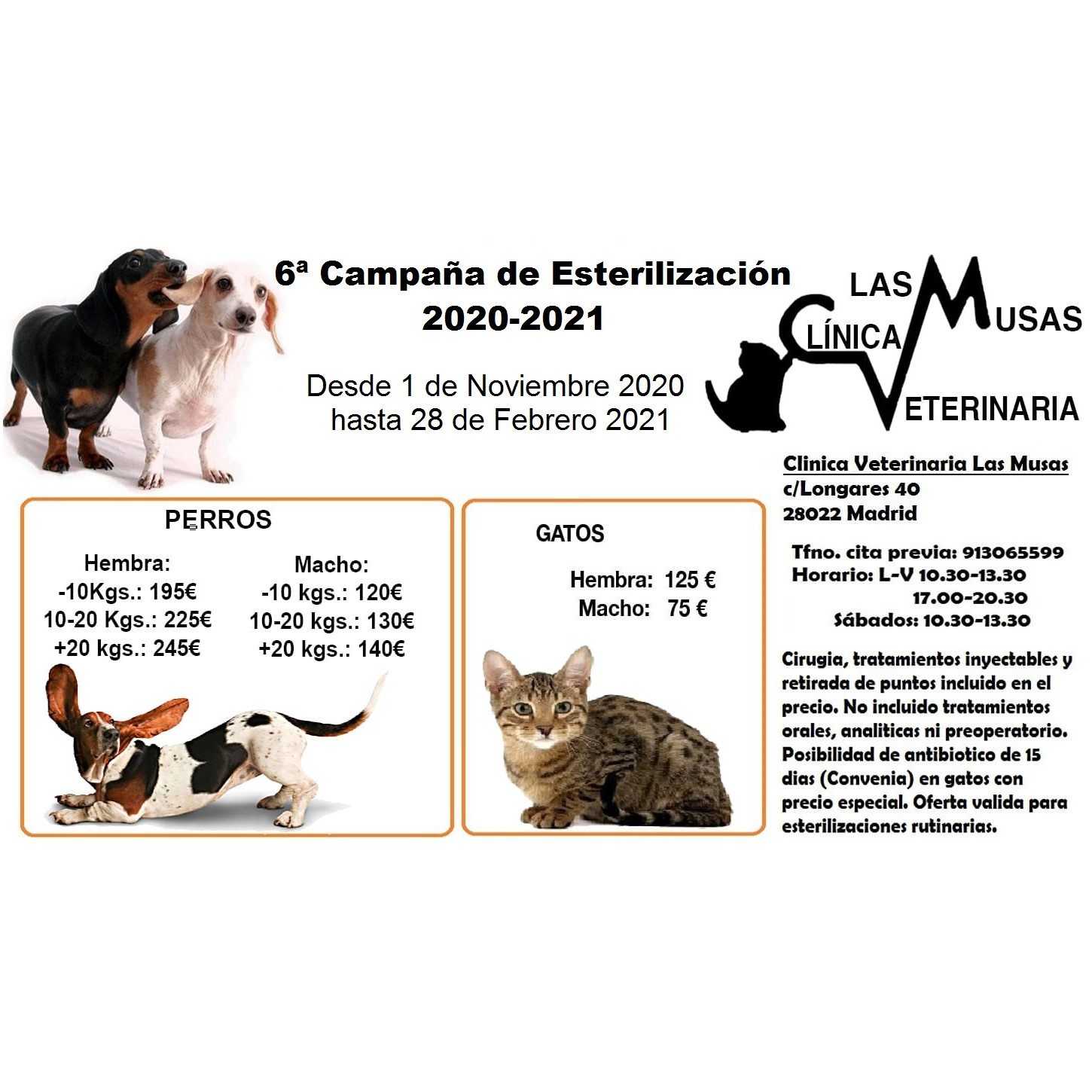 Campaña de esterilización 2020-2021