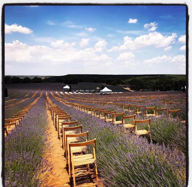 Instalación de sillas en Festival de la Lavanda 2019