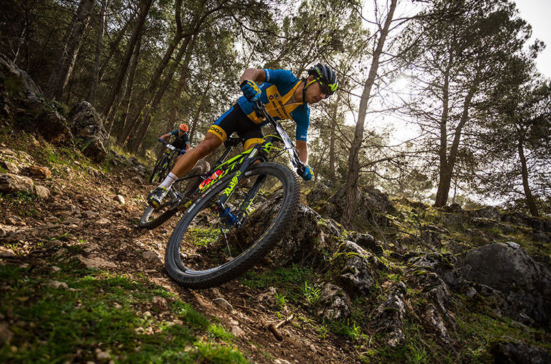 Circuitos BTT