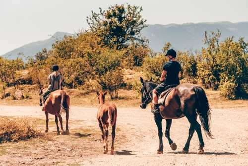 Rutas a Caballo