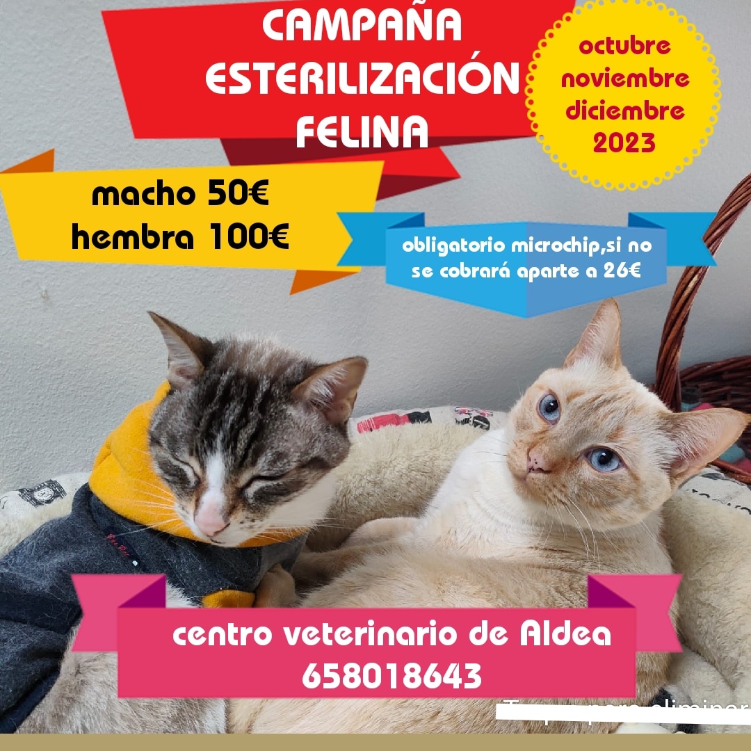 Próximas Campañas