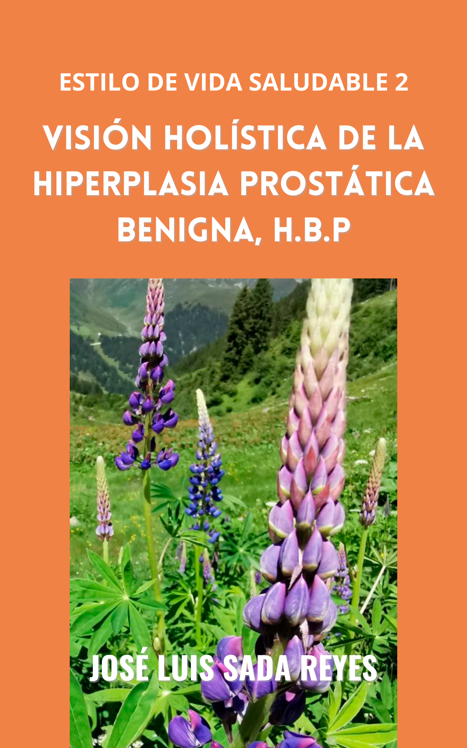 LIBRO: Visión holística de la Hiperplasia Prostática Benigna,