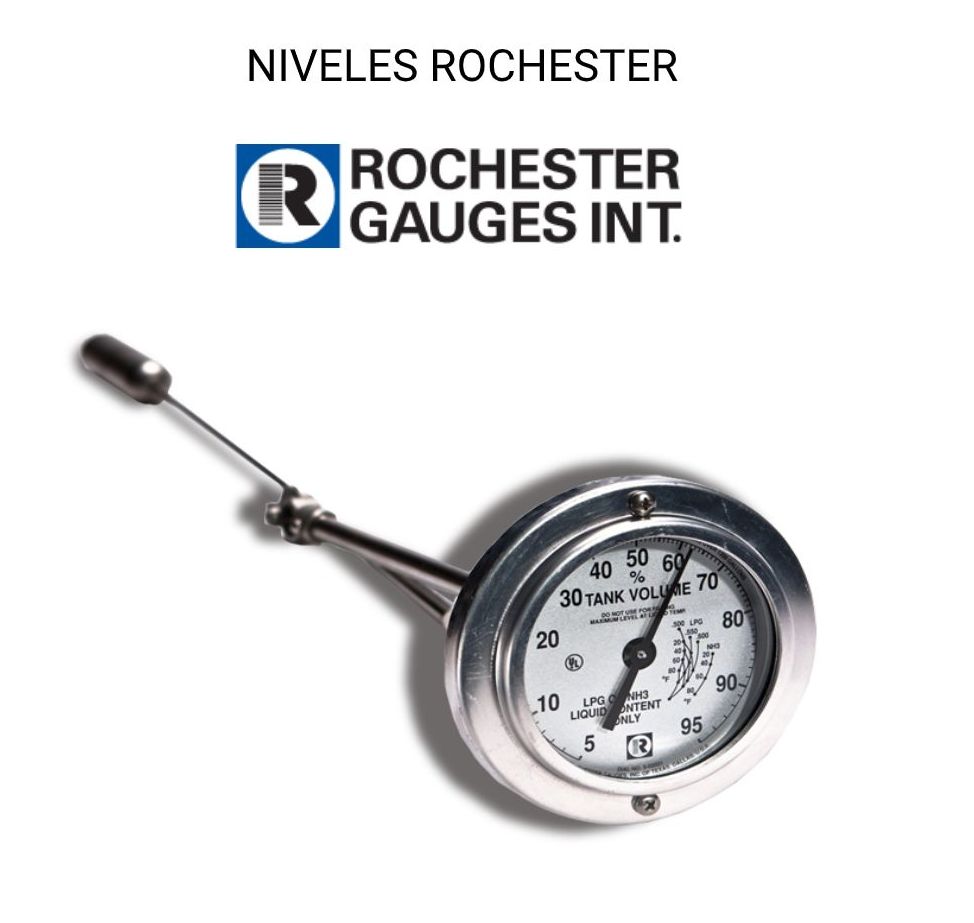 NIVELES ROCHESTER