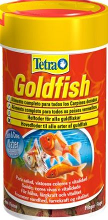 Tetra Goldfish.