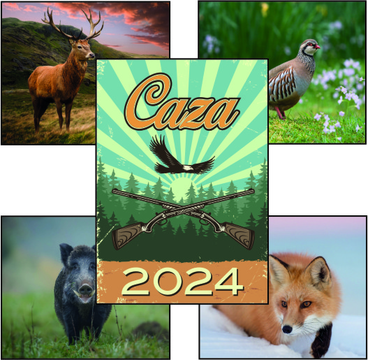 Referencia  237 - Caza