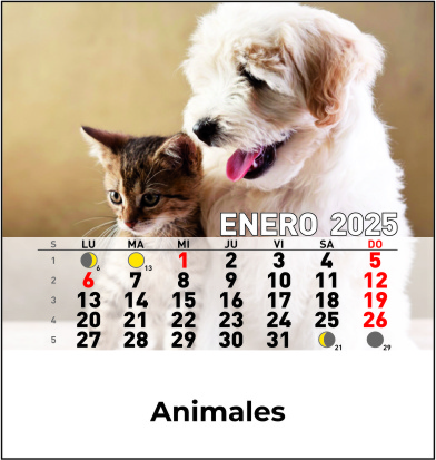 Cd ref 33 - Animales