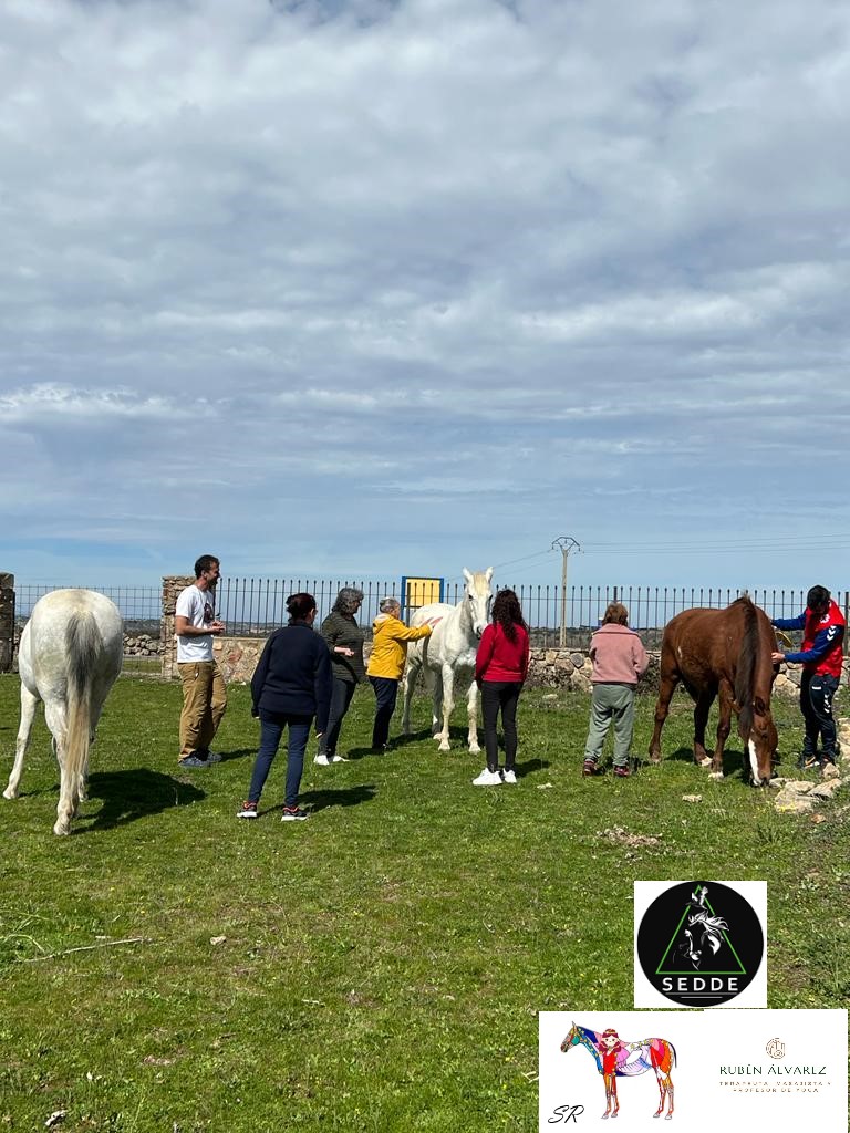 Actividades sociales, ecológicas.