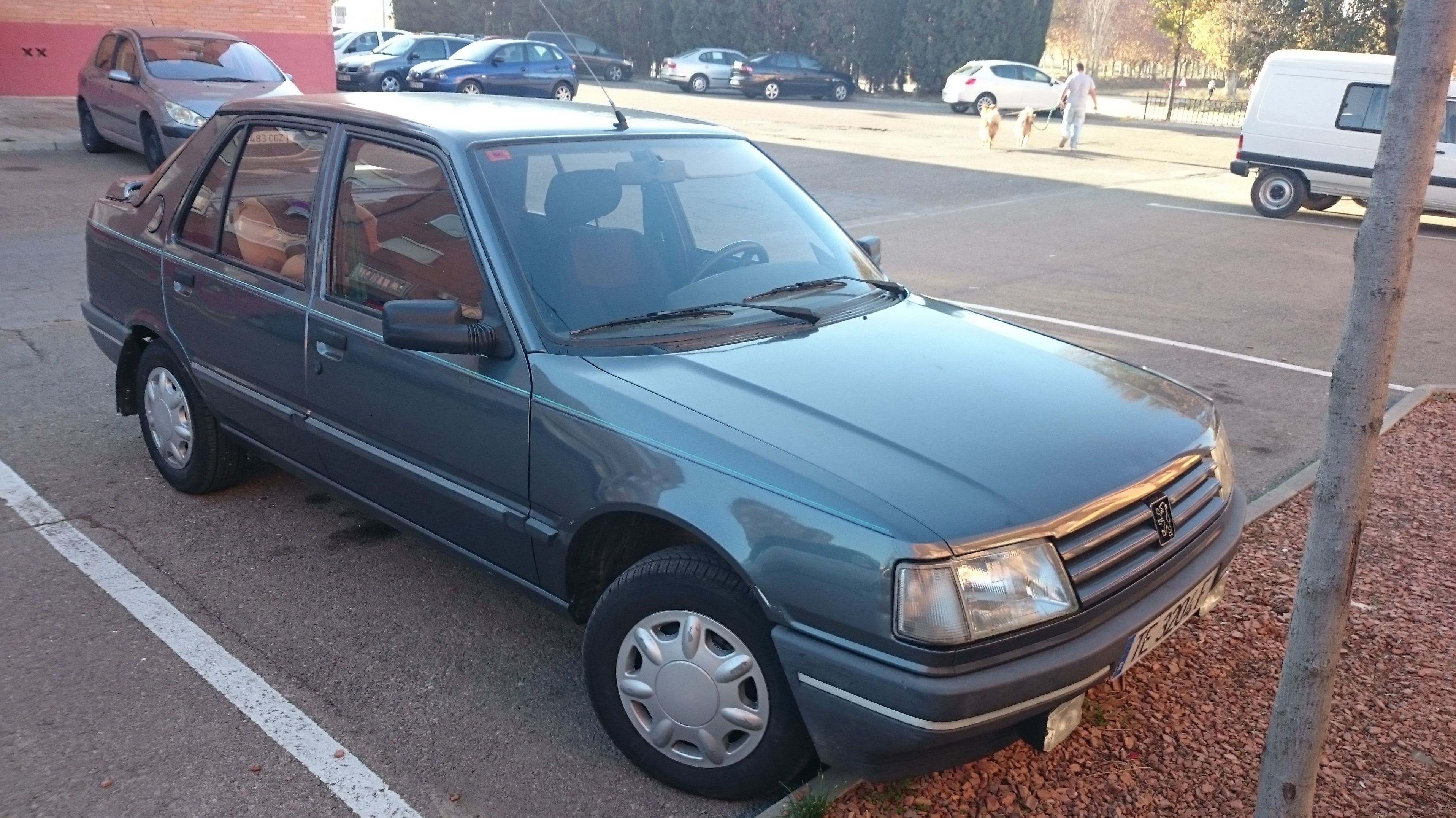 Peugeot 309 1.9 D