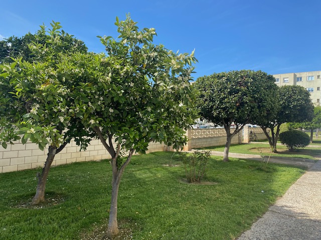 Apartamento en Vilafortuny - Cambrils