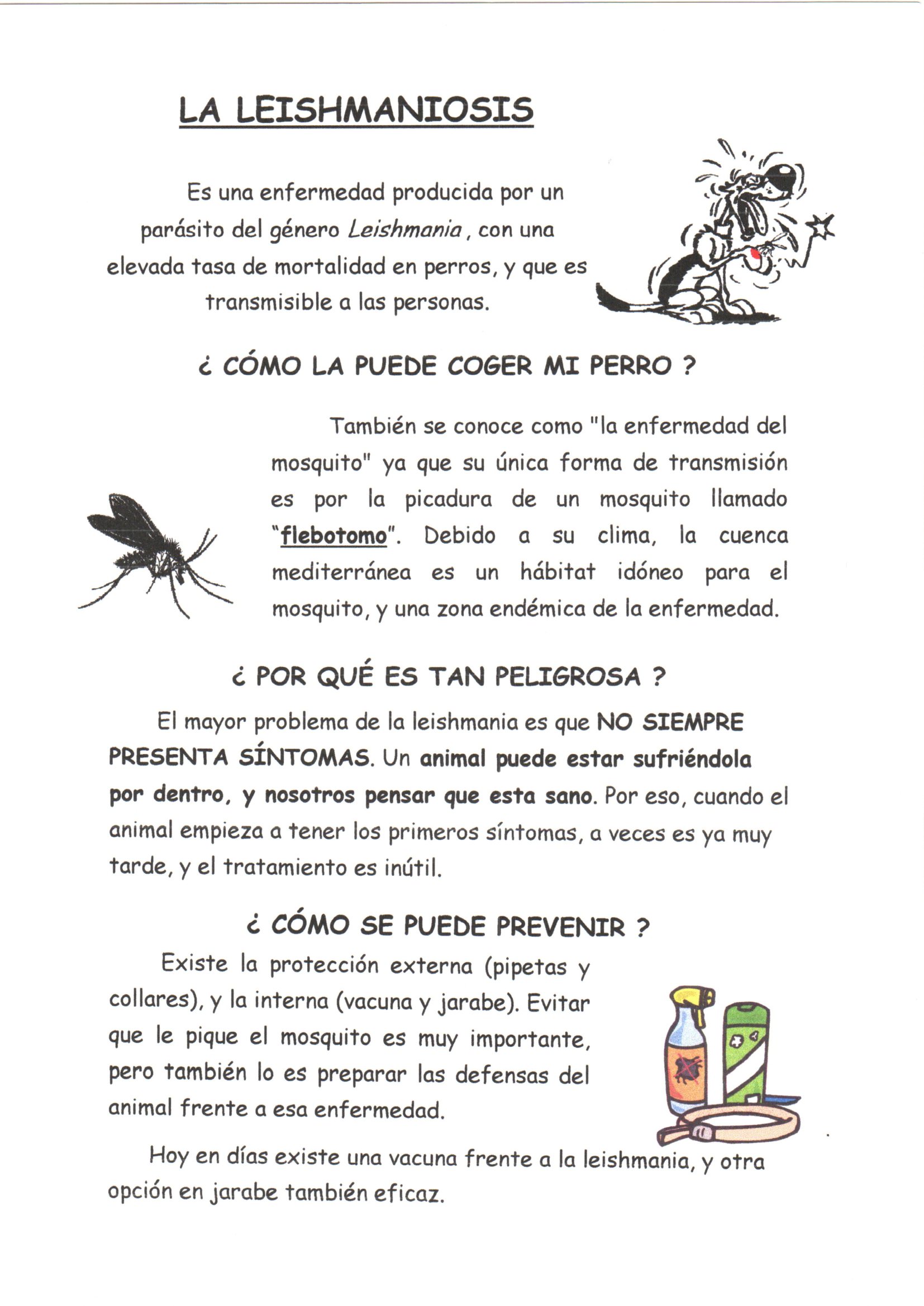 Leishmania y Erhlichia