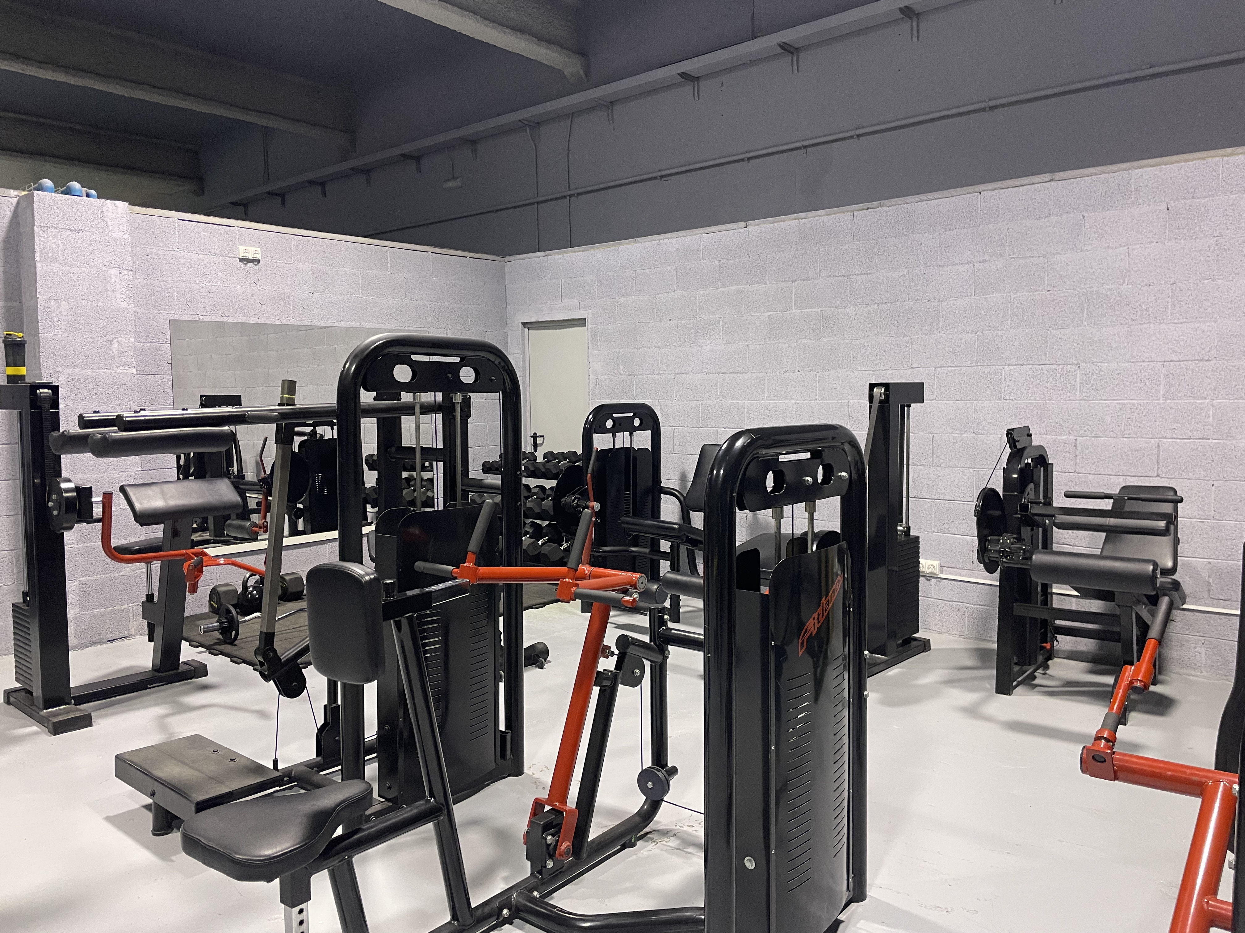 Gimnasio