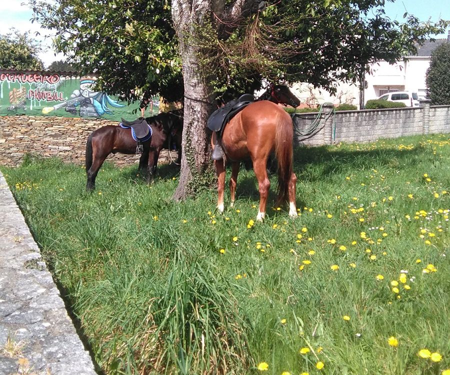 Rutas a caballo