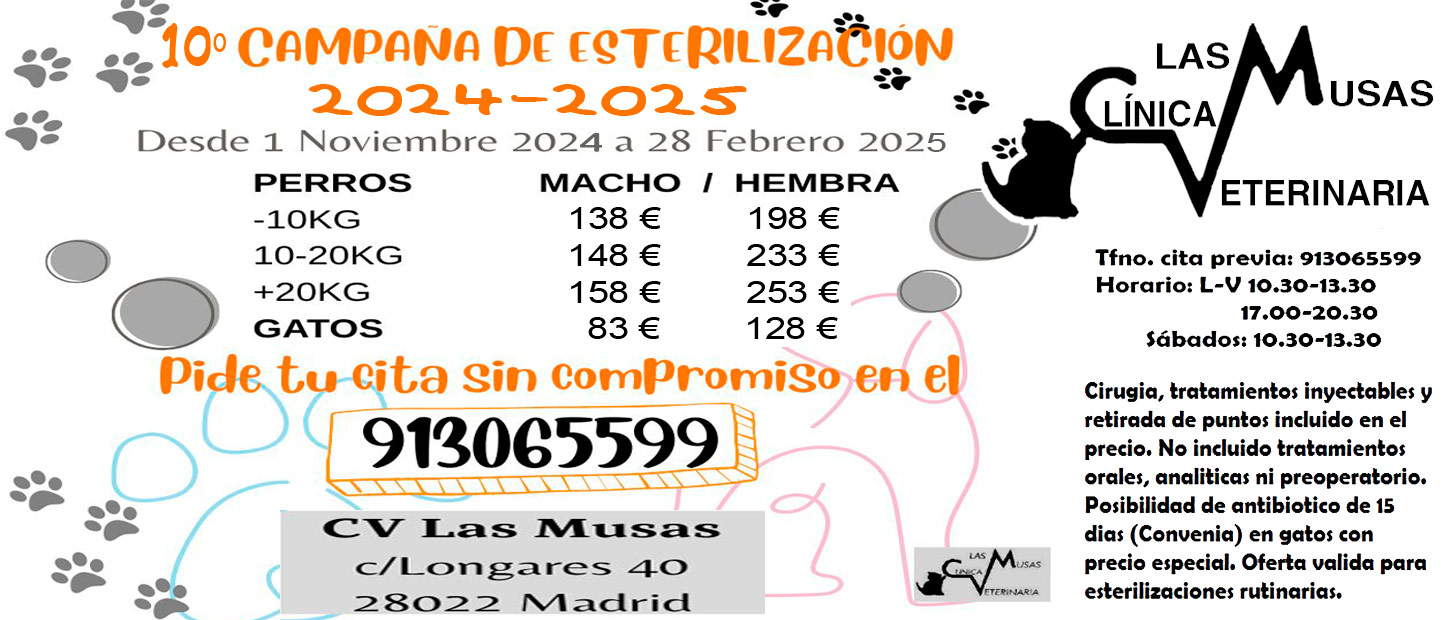 CAMPAÑA DE ESTERILIZACIÓN EN CV LAS MUSAS