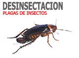 Desinsectación