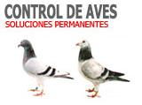 Control de aves