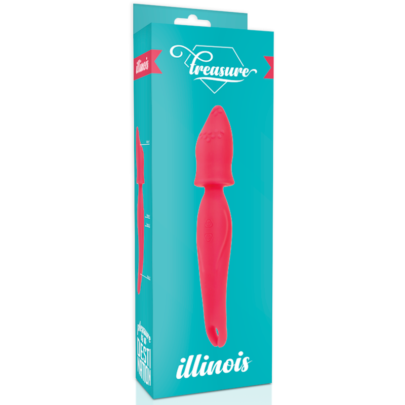 ILLINOIS TREASURE USB 22 X 4,2